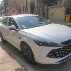 بي واي دي كوين L DM-i